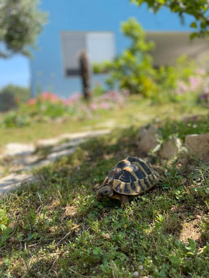 Mare i Kate Apartmani Tribalj Exterior foto